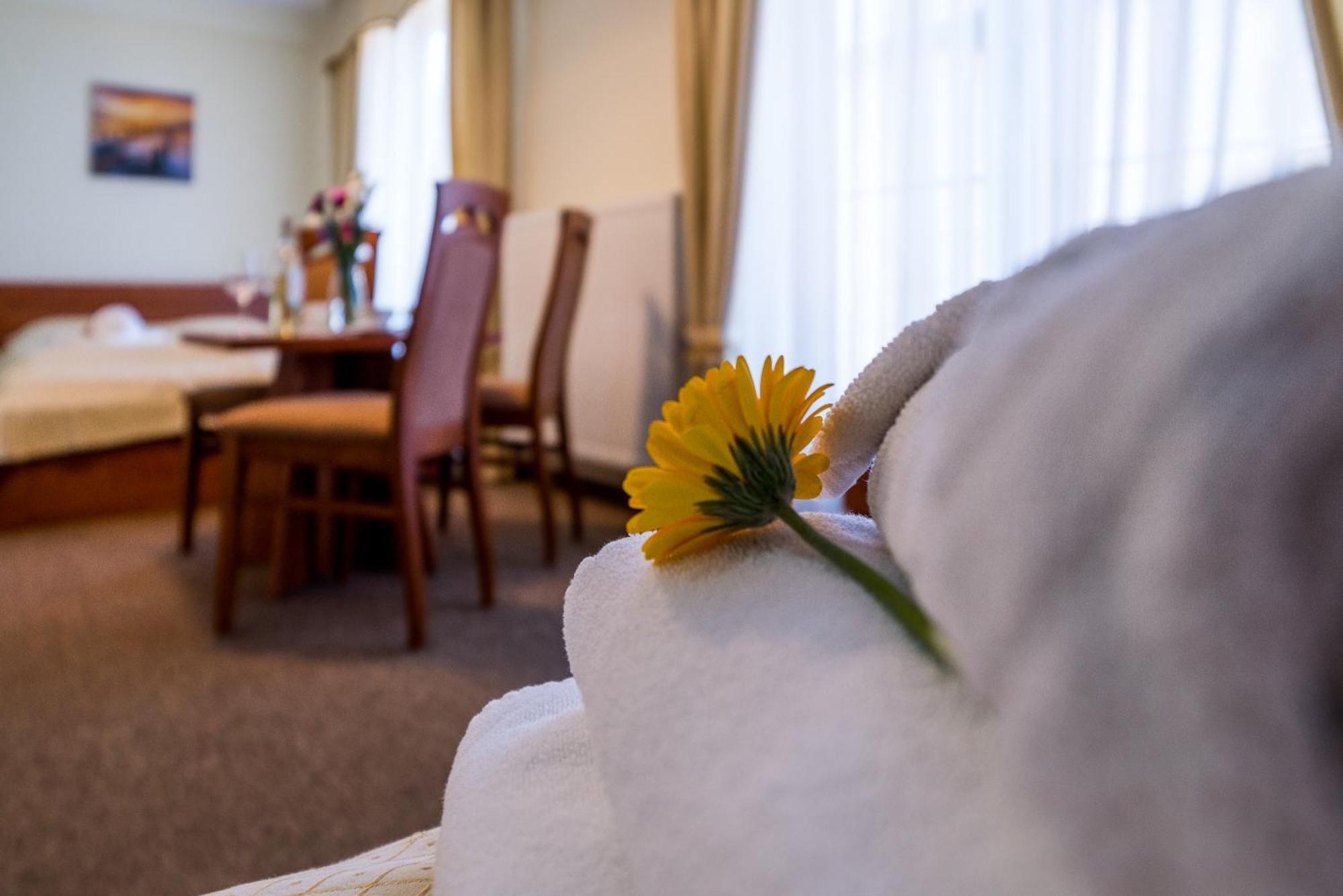 Villa Martii - Komfortowe Apartamenty Z Aneksami Kuchennymi - Spokojna Okolica, Blisko Plazy Władysławowo Kültér fotó
